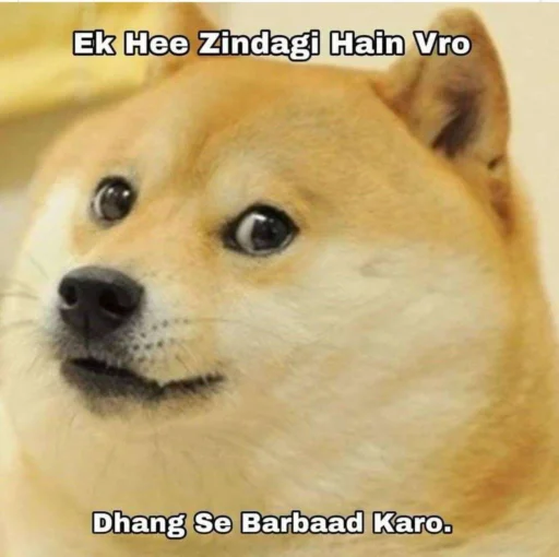 @stickerbags Cheems Doge Pack 2 (@CalsiBot), telegram sticker