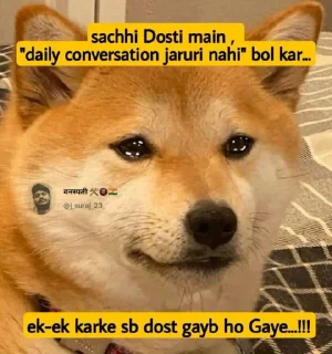 🥲-@stickerbags Cheems Doge Pack 2 (@CalsiBot), Telegram Sticker