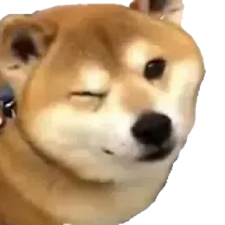 😜-@stickerbags Cheems Doge Pack 2 (@CalsiBot), Telegram Sticker