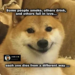 😂-@stickerbags Cheems Doge Pack 2 (@CalsiBot), Telegram Sticker