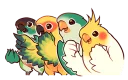 😁-Coca Bird (Xane's Edit), Telegram Sticker