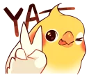 👍-Coca Bird (Xane's Edit), Telegram Sticker