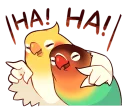 😂-Coca Bird (Xane's Edit), Telegram Sticker