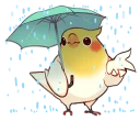 🌂-Coca Bird (Xane's Edit), Telegram Sticker