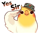 👮-Coca Bird (Xane's Edit), Telegram Sticker