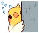 💦-Coca Bird (Xane's Edit), Telegram Sticker