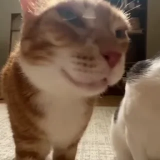 🙂-@darklordxuan, Telegram Sticker