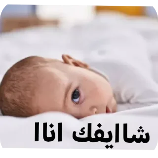 👤-عبدالله البشير @Z0_Ol, Telegram Sticker