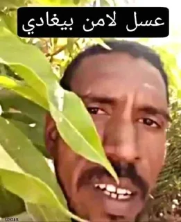 🐸-عبدالله البشير @Z0_Ol, Telegram Sticker