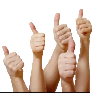 👍-عبدالله البشير @Z0_Ol, Telegram Sticker