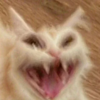 😹-عبدالله البشير @Z0_Ol, Telegram Sticker