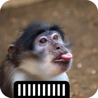 🐶-عبدالله البشير @Z0_Ol, Telegram Sticker