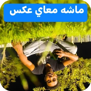 👍-عبدالله البشير @Z0_Ol, Telegram Sticker