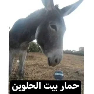 🦓-عبدالله البشير @Z0_Ol, Telegram Sticker