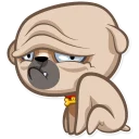 😞-Zac The Pug, Telegram Sticker