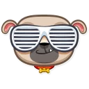 😎-Zac The Pug, Telegram Sticker